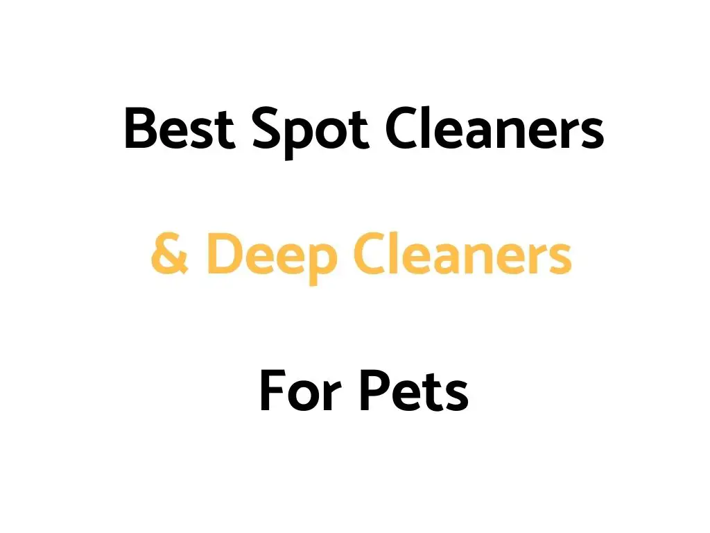 Best Spot Cleaners & Deep Carpet Cleaners For Pets: Reviews, & Top Rated