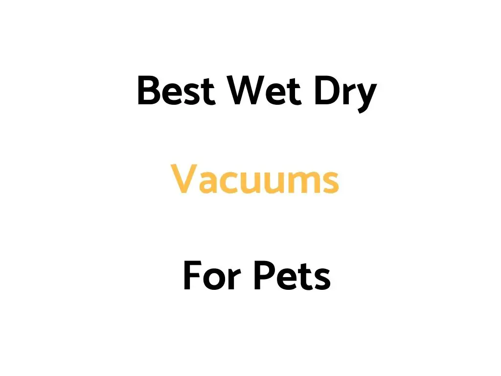 Best Wet Dry Vacuums For Pets: Reviews, & Top Rated